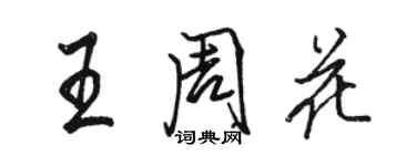 駱恆光王周花行書個性簽名怎么寫