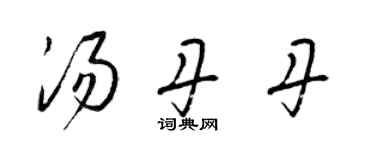 梁錦英湯丹丹草書個性簽名怎么寫