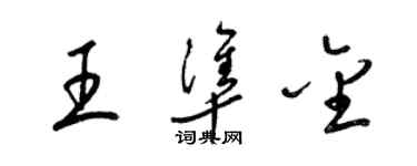 梁錦英王準金草書個性簽名怎么寫