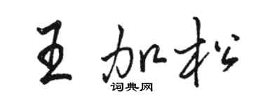 駱恆光王加松行書個性簽名怎么寫
