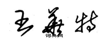 朱錫榮王華特草書個性簽名怎么寫