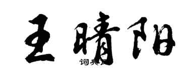 胡問遂王晴陽行書個性簽名怎么寫