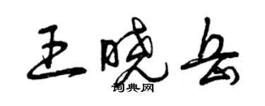 曾慶福王曉岳草書個性簽名怎么寫