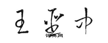 駱恆光王聖中草書個性簽名怎么寫