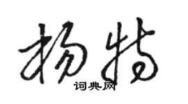 駱恆光楊特草書個性簽名怎么寫