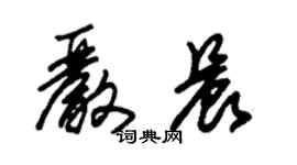 朱錫榮嚴晨草書個性簽名怎么寫