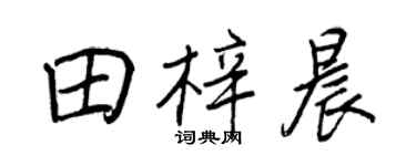 王正良田梓晨行書個性簽名怎么寫