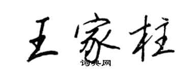 王正良王家柱行書個性簽名怎么寫