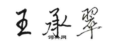 駱恆光王承翠行書個性簽名怎么寫