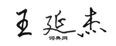 駱恆光王延傑行書個性簽名怎么寫