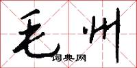 毛州怎么寫好看