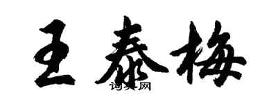 胡問遂王泰梅行書個性簽名怎么寫