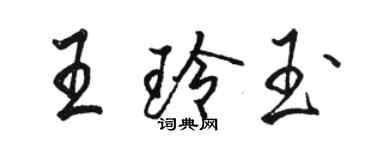 駱恆光王玲玉行書個性簽名怎么寫