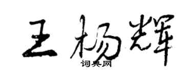 曾慶福王楊輝行書個性簽名怎么寫