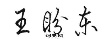 駱恆光王盼東行書個性簽名怎么寫