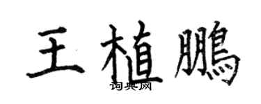 何伯昌王植鵬楷書個性簽名怎么寫