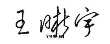 駱恆光王晰宇草書個性簽名怎么寫