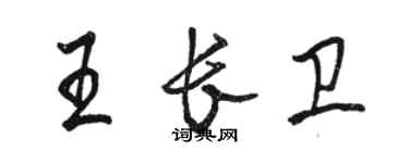 駱恆光王長衛行書個性簽名怎么寫
