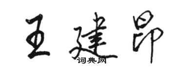 駱恆光王建昂行書個性簽名怎么寫