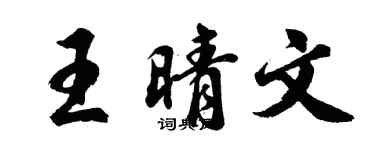 胡問遂王晴文行書個性簽名怎么寫