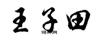 胡問遂王子田行書個性簽名怎么寫