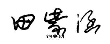 朱錫榮田紫涵草書個性簽名怎么寫