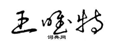 曾慶福王唯特草書個性簽名怎么寫