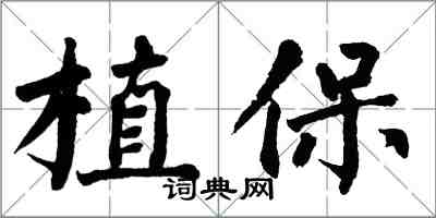 翁闓運植保楷書怎么寫