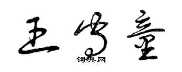 曾慶福王守童草書個性簽名怎么寫