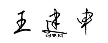 梁錦英王建申草書個性簽名怎么寫