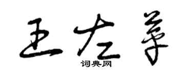 曾慶福王左苹草書個性簽名怎么寫