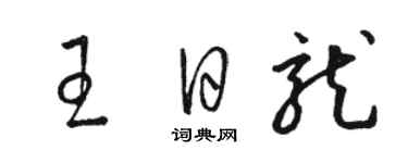 駱恆光王日龍草書個性簽名怎么寫