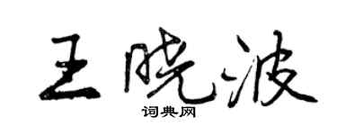 曾慶福王曉波行書個性簽名怎么寫