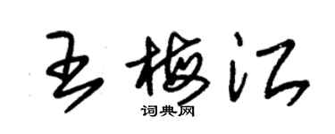 朱錫榮王梅江草書個性簽名怎么寫