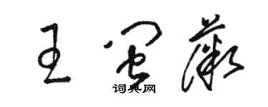 駱恆光王閩薇草書個性簽名怎么寫