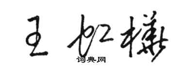 駱恆光王虹樺草書個性簽名怎么寫