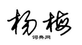朱錫榮楊梅草書個性簽名怎么寫
