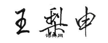 駱恆光王梨申行書個性簽名怎么寫