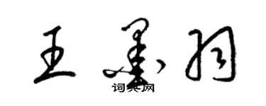 梁錦英王墨羽草書個性簽名怎么寫