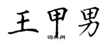 丁謙王甲男楷書個性簽名怎么寫