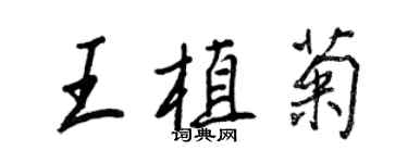 王正良王植菊行書個性簽名怎么寫