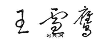 駱恆光王雪鷹草書個性簽名怎么寫