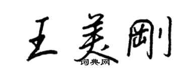 王正良王美剛行書個性簽名怎么寫
