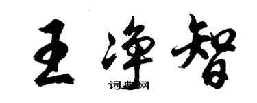 胡問遂王淨智行書個性簽名怎么寫