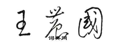 駱恆光王農國草書個性簽名怎么寫