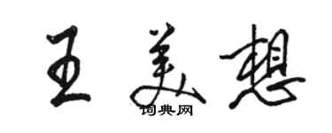 駱恆光王美想行書個性簽名怎么寫