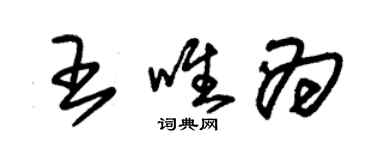 朱錫榮王唯為草書個性簽名怎么寫