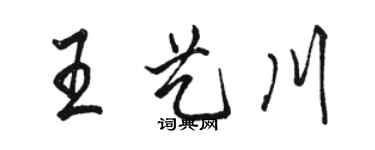 駱恆光王藝川行書個性簽名怎么寫
