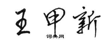 駱恆光王甲新行書個性簽名怎么寫