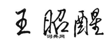 駱恆光王昭醒行書個性簽名怎么寫